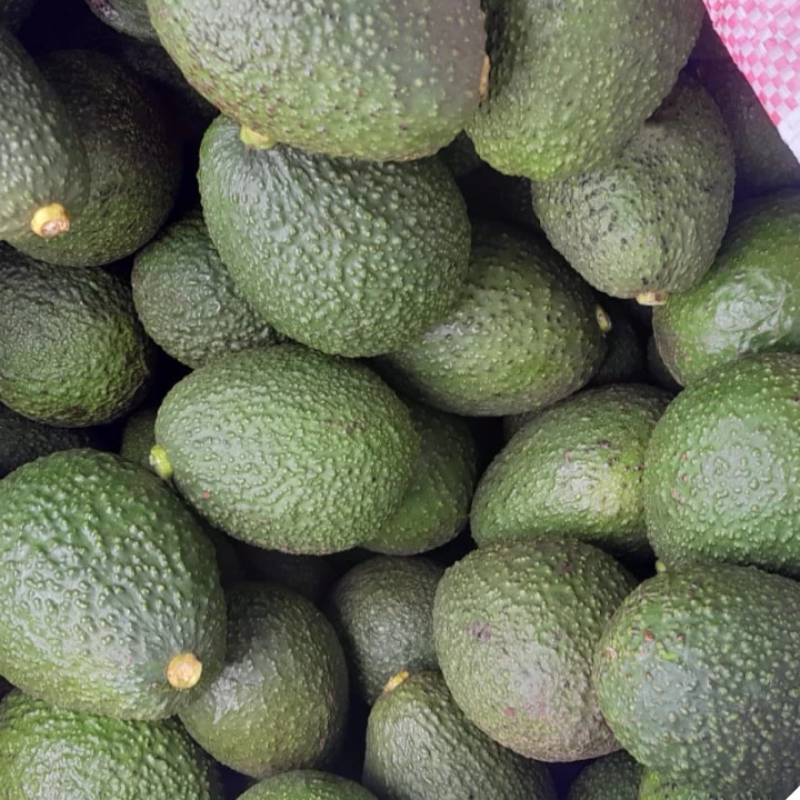 high-quality-hass-avocados-ready-for-selling