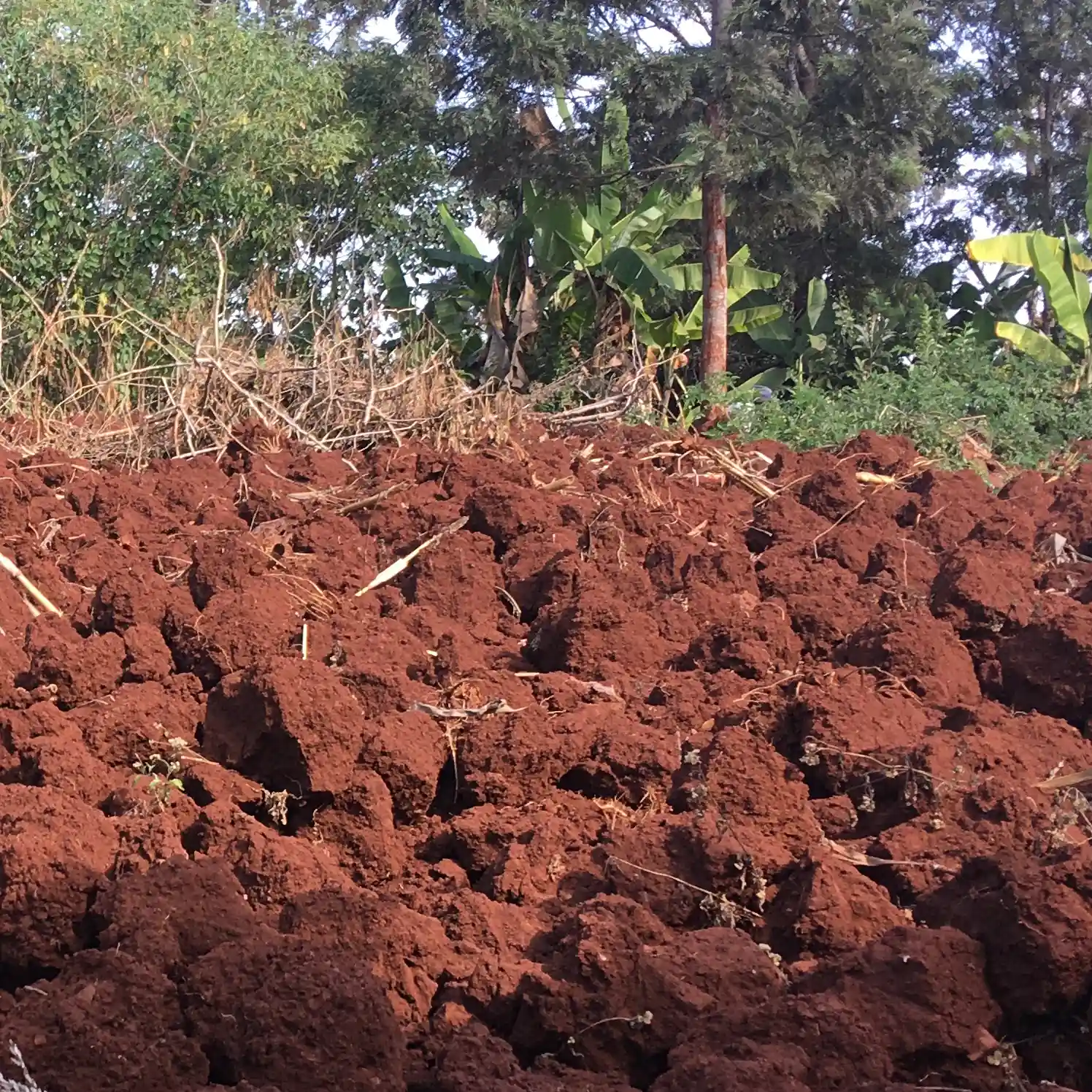 tilled-land-ready-for-planting